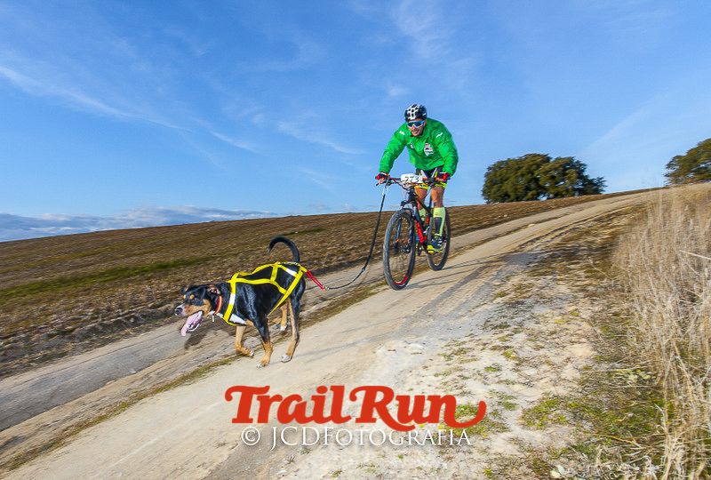 Mushing de Villamanta: canicross y bikejoring popular