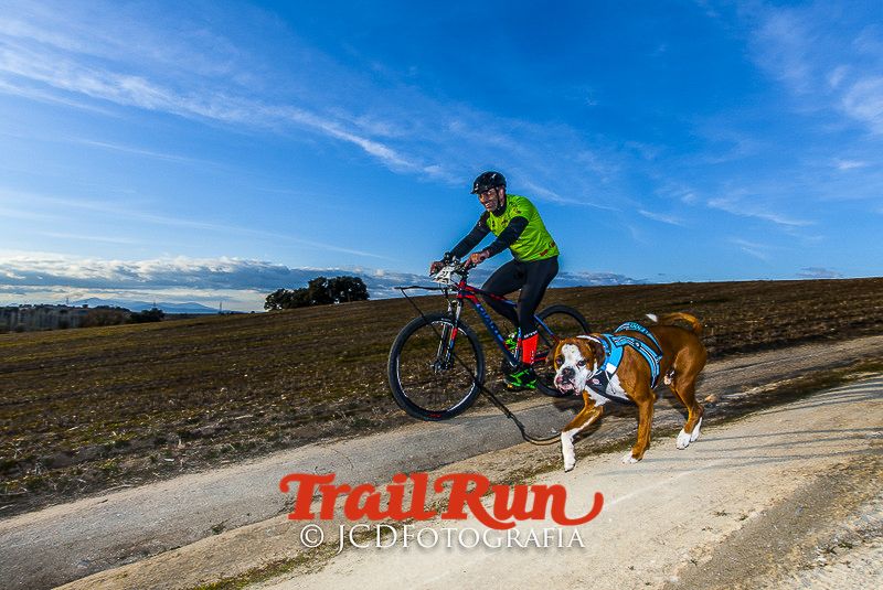 Mushing de Villamanta: canicross y bikejoring popular