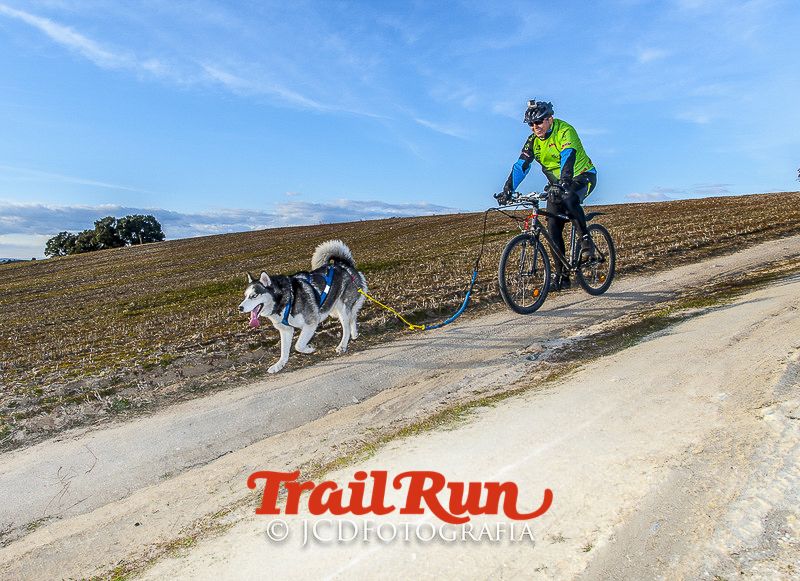 Mushing de Villamanta: canicross y bikejoring popular