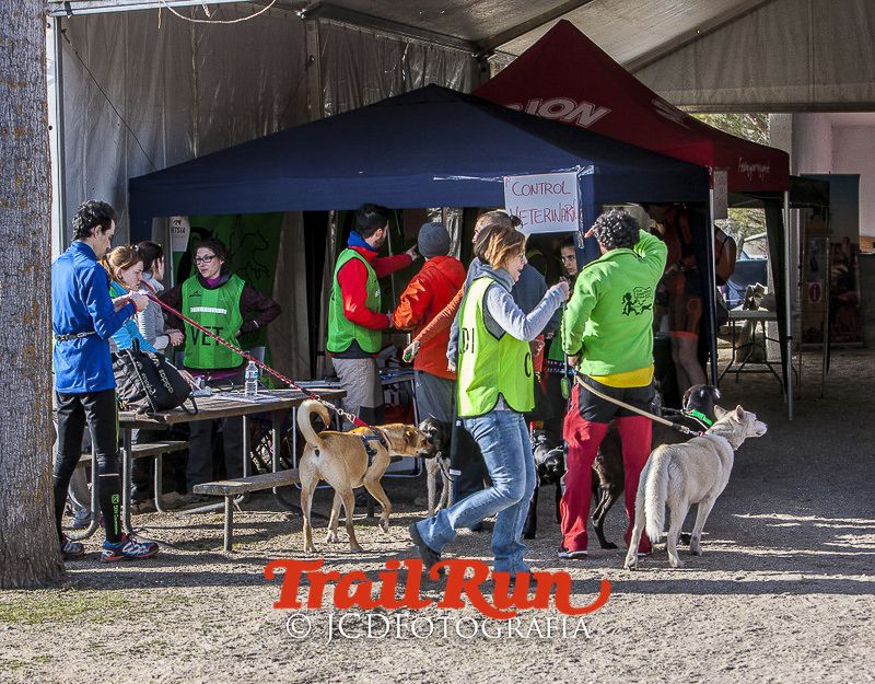 Mushing de Villamanta: canicross y bikejoring popular