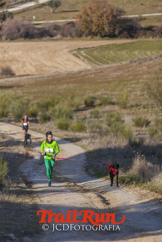 Mushing de Villamanta: canicross y bikejoring popular