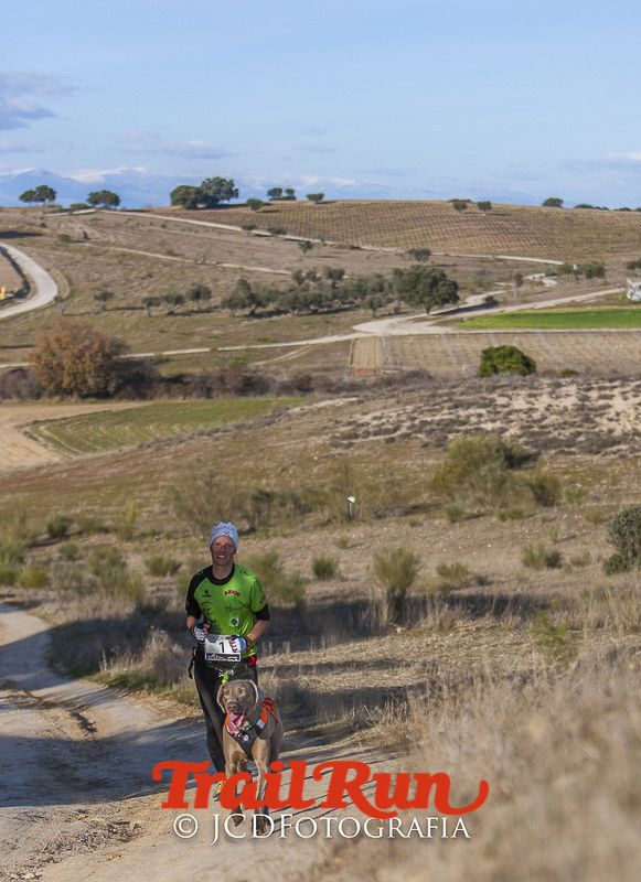 Mushing de Villamanta: canicross y bikejoring popular