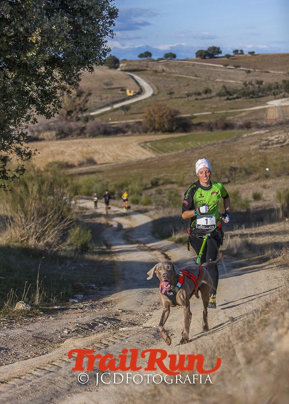 Mushing de Villamanta: canicross y bikejoring popular