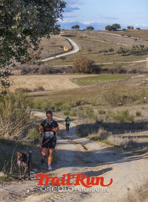 Mushing de Villamanta: canicross y bikejoring popular
