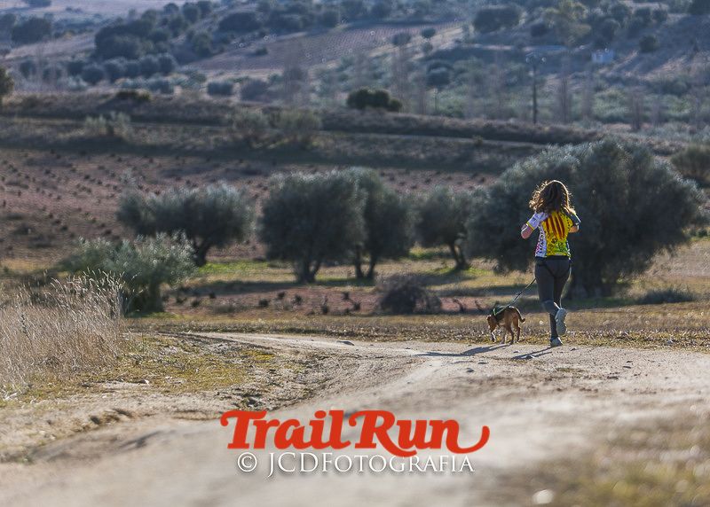 Mushing de Villamanta: canicross y bikejoring popular