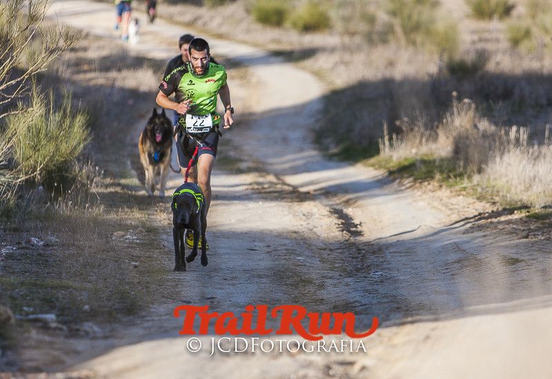 Mushing de Villamanta: canicross y bikejoring popular