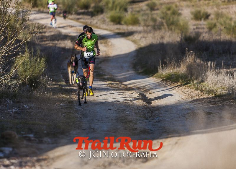 Mushing de Villamanta: canicross y bikejoring popular