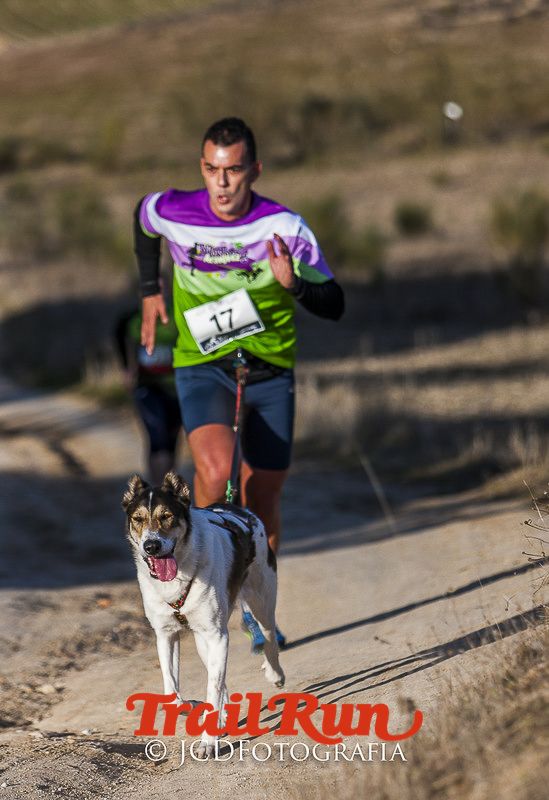 Mushing de Villamanta: canicross y bikejoring popular