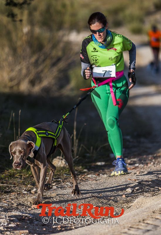 Mushing de Villamanta: canicross y bikejoring popular