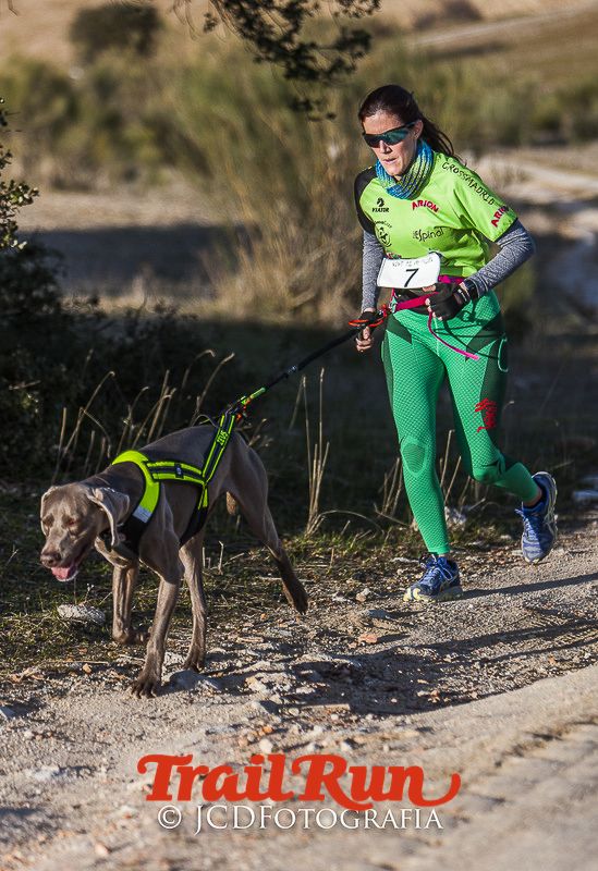 Mushing de Villamanta: canicross y bikejoring popular