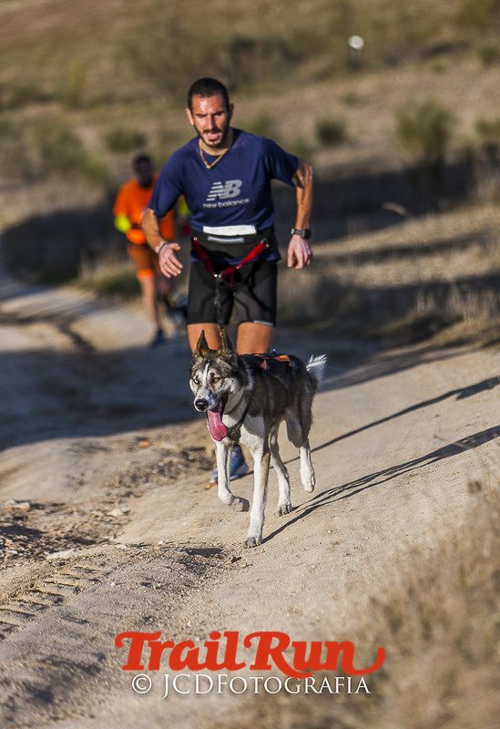 Mushing de Villamanta: canicross y bikejoring popular