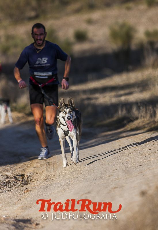 Mushing de Villamanta: canicross y bikejoring popular