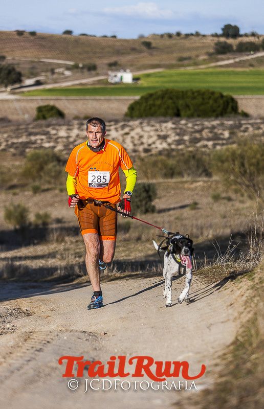 Mushing de Villamanta: canicross y bikejoring popular