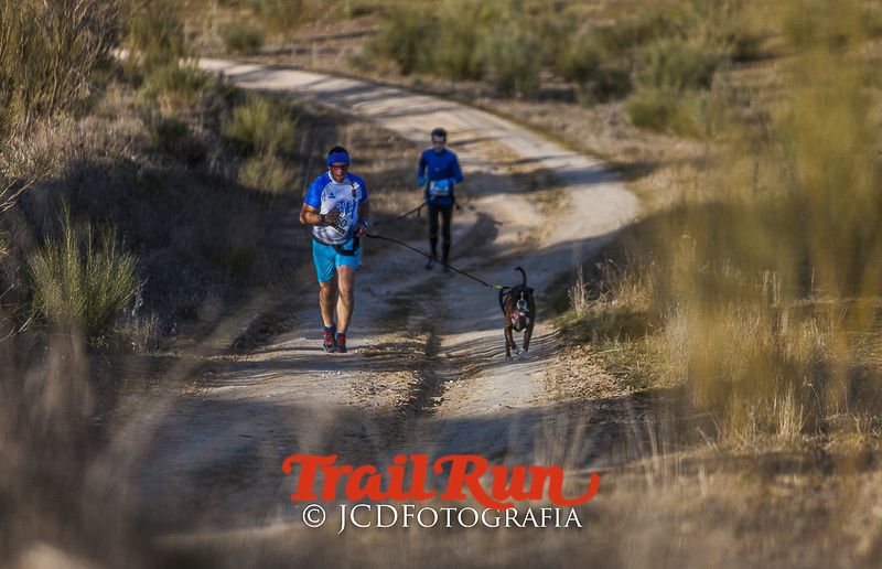 Mushing de Villamanta: canicross y bikejoring popular