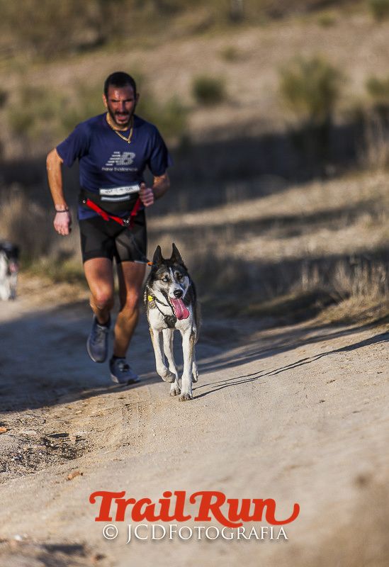 Mushing de Villamanta: canicross y bikejoring popular