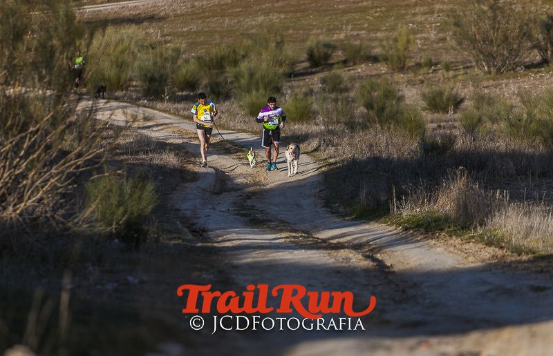 Mushing de Villamanta: canicross y bikejoring popular