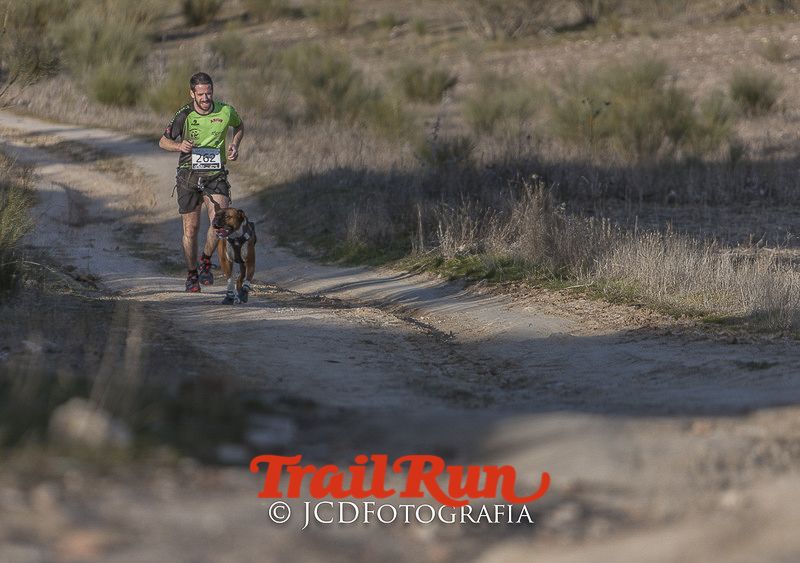 Mushing de Villamanta: canicross y bikejoring popular