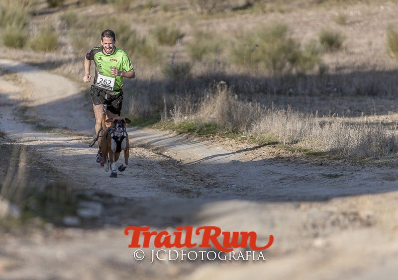 Mushing de Villamanta: canicross y bikejoring popular