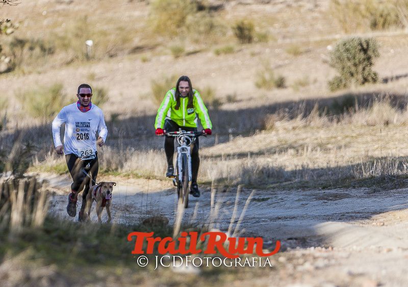 Mushing de Villamanta: canicross y bikejoring popular