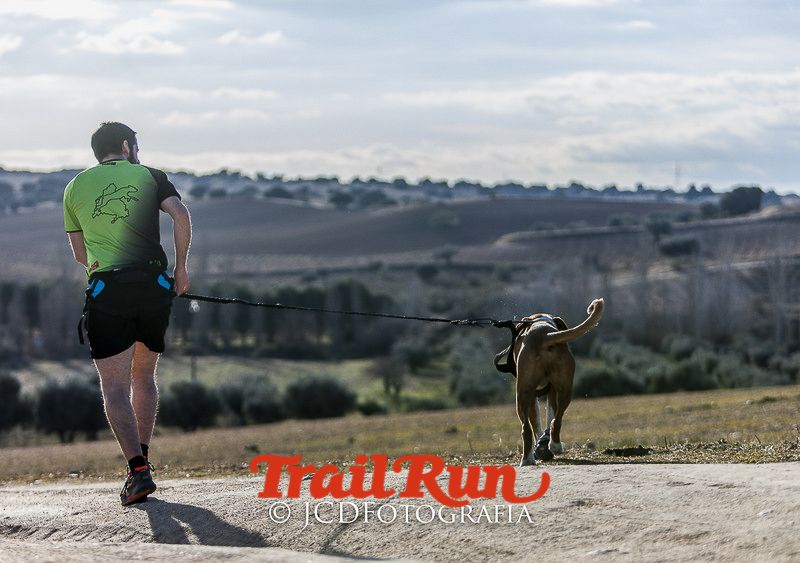 Mushing de Villamanta: canicross y bikejoring popular