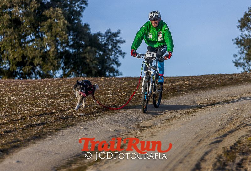 Mushing de Villamanta: canicross y bikejoring popular