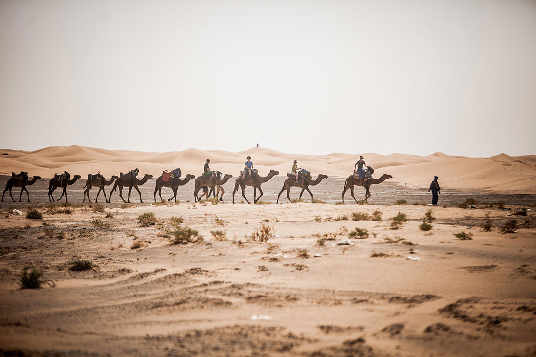 Mucho más que una carrera por el desierto